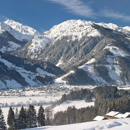 Chalet Freiblick Kleinhaid, Hollersbach هولرسباخ ام بنزغ المظهر الخارجي الصورة