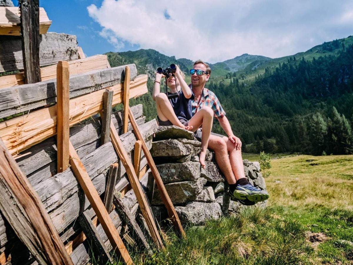 Chalet Freiblick Kleinhaid, Hollersbach هولرسباخ ام بنزغ المظهر الخارجي الصورة