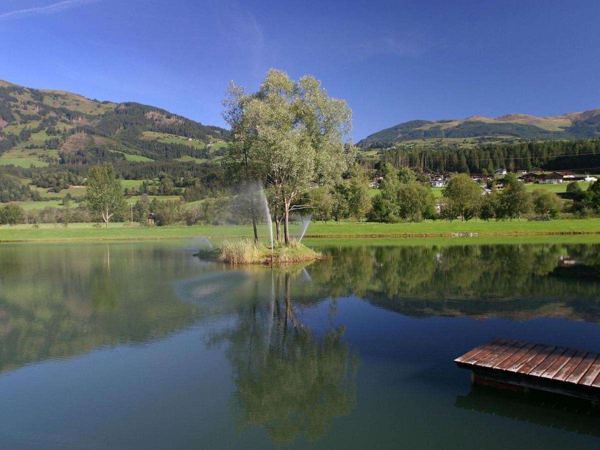 Chalet Freiblick Kleinhaid, Hollersbach هولرسباخ ام بنزغ المظهر الخارجي الصورة